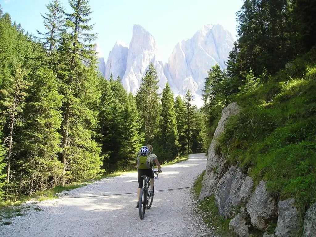 Piste de gravier sinueuse traversant une forêt avec un vélo de voyage